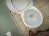piss